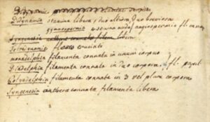 Manuale-Botanicum-sistens-plantarum-Europaearum-characteres-generum-specierum-differentias-nec-non-earum-loca-natalia