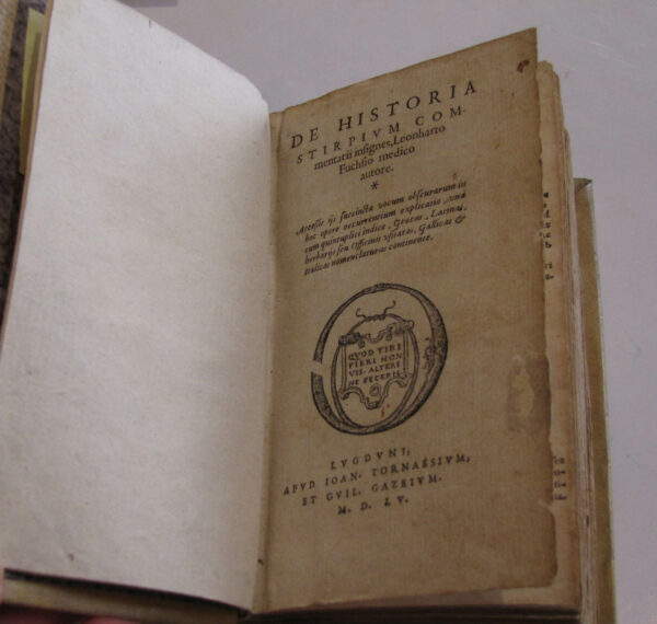 De-historia-stirpium-commentarii-insignes.-Accessit8230