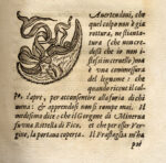 1-La-prima-secunda-parte-de-Ragionamenti-di-M.-Pietro-Aretino-cognominato-il-flagello-de-prencipi-il-veritiero-el-divino-divisa-in-tre-giornate-la-contenenza-de-le-quali-si-porra-ne-la-facciata-seguente.-2-Idem.-Doppo-le-quali-habbiamo-aggiunto-il-piacevol-ragionamenti-del-Zoppino-composto-da-questo-medisimo-autore-per-suo-piacere.-Veritas-odium-parit-suivi-de-Commento-di-ser-agresto-da-ficarvolo-sopra-la-prima-ficata-del-padre-Siceo.-Con-la-diseria-de-Nasi