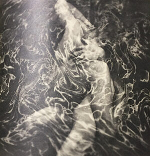 Sexus-Postface-de-Maurice-Nadeau-illustrations-de-Emil-Cadoo