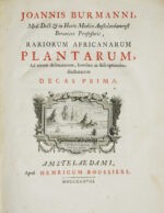 Rariorum-Africanarum-plantarum-ad-vivum-delineatarum-Iconibus-ac-descriptionibus-illustratarum.-Decades-X