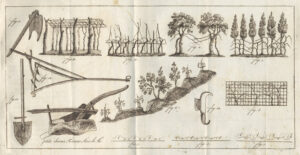 Tableau-de-lrsquoagriculture-Toscane