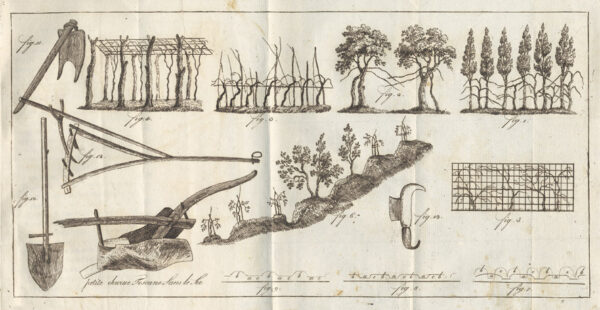 Tableau-de-lrsquoagriculture-Toscane