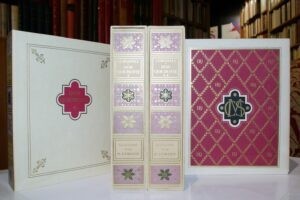 LrsquoIngenieux-hidalgo-don-Quichotte-de-la-Manche.-Illustrations-de-Henry-Lemarie