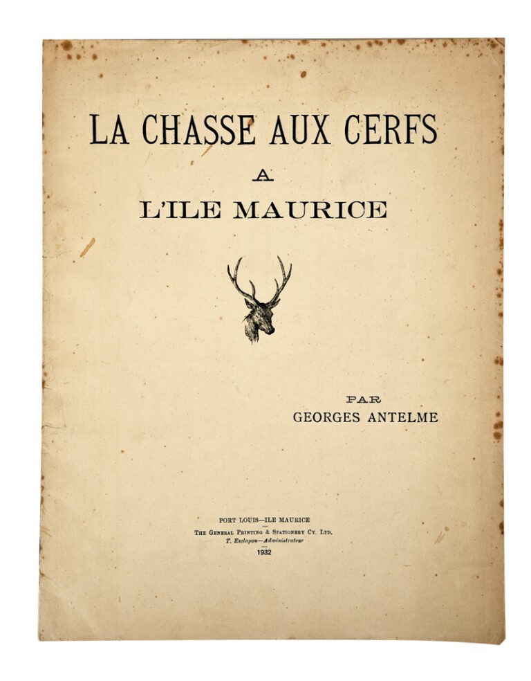 jeune cerf en 4 lettres