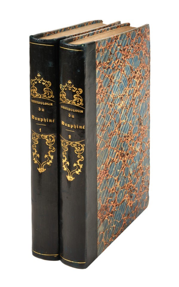 Ornithologie-du-Dauphine-ou-description-des-oiseaux-observes-dans-les-departements-de-lIsere-de-la-Drome-des-Hautes-Alpes-et-des-contrees-voisines-par-Hippolyte-Bouteille-pharmacien-avec-la-collaboration-de-M.-de-Labatie-ouvrage-contenant-300-sujets-dessines-dapres-nature-par-M.V.-Cassien