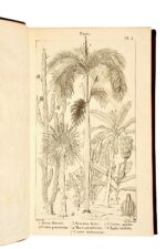 Elemens-de-physiologie-vegetale-et-de-botanique