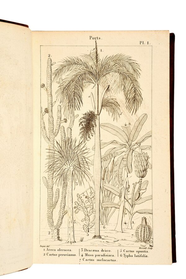 Elemens-de-physiologie-vegetale-et-de-botanique