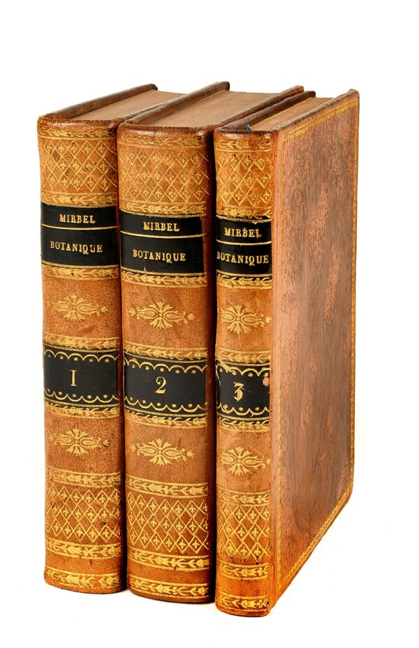 Elemens-de-physiologie-vegetale-et-de-botanique