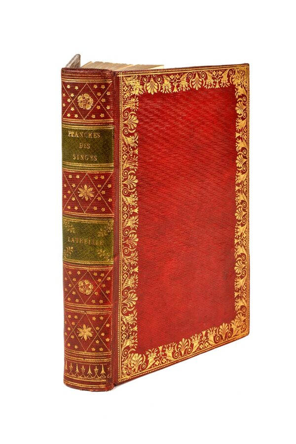 Recueil-de-planches-dhistoire-naturelle-dont-la-description-se-trouve-dans-les-dictionnaires-ou-autres-ouvrages-qui-ont-rapport-a-cette-science-precede-dune-classification-methodique-et-suivi-dune-Table-alphabetique-Exemplaire-unique.-Singes-par-Latreille-manuscrit