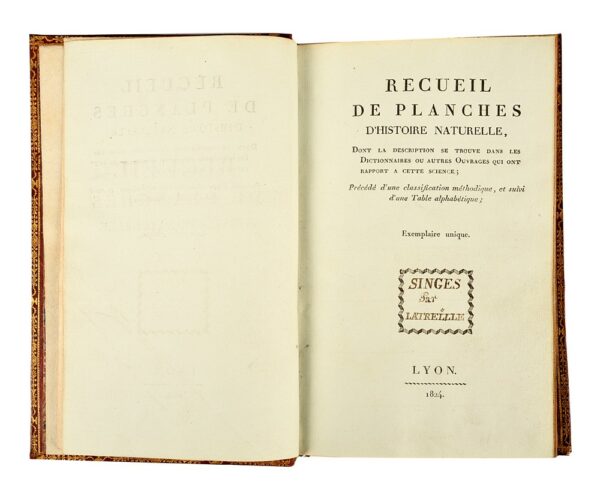 Recueil-de-planches-dhistoire-naturelle-dont-la-description-se-trouve-dans-les-dictionnaires-ou-autres-ouvrages-qui-ont-rapport-a-cette-science-precede-dune-classification-methodique-et-suivi-dune-Table-alphabetique-Exemplaire-unique.-Singes-par-Latreille-manuscrit