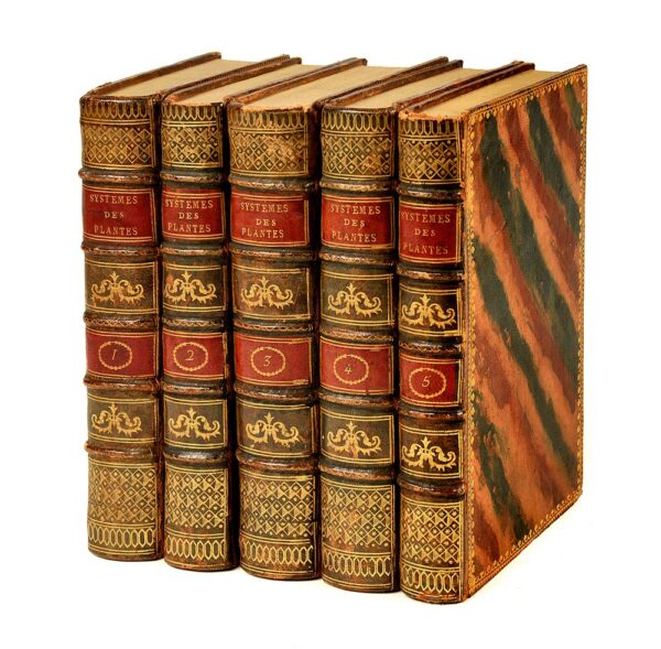 Systeme-des-plantes-contenant-les-Classes-Ordres-Genres-et-especes-les-Caracteres-naturels-et-essentiels-des-Genres-8230-Extrait-et-traduit-des-ouvrages-de-Linne Systeme-des-plantes-contenant-les-Classes-Ordres-Genres-et-especes-les-Caracteres-naturels-et-essentiels-des-Genres-8230-Extrait-et-traduit-des-ouvrages-de-Linne