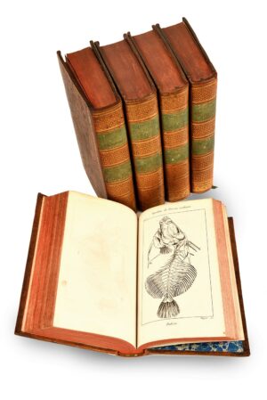 Lecons-danatomie-comparee-de-G.-Cuvier-membre-de-lInstitut-national-professeur-au-College-de-France-et-a-lecole-centrale-du-Pantheon-etc.-recueillies-et-publiees-sous-ses-yeux-par-C.-Dumeril-Duvernoy-chef-des-travaux-anatomiques-de-lEcole-de-Medecine-de-Paris