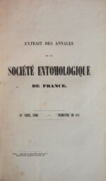 Monographie-des-chrysomeles-drsquoEurope.-Traduction-de-M.-L.-Fairmaire