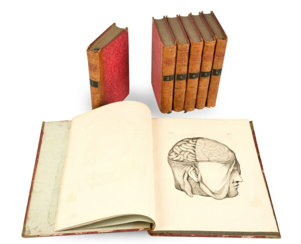 Oeuvres-de-Vicq-dAzyr-recueillies-et-publiees-avec-des-notes-et-un-discours-sur-sa-vie-et-ses-ouvrages-par-Jacques-Louis-Moreau-de-la-Sarthe-ornees-dun-volume-de-planches-grand-in-4°-et-dun-frontispice-allegorique Oeuvres-de-Vicq-dAzyr-recueillies-et-publiees-avec-des-notes-et-un-discours-sur-sa-vie-et-ses-ouvrages-par-Jacques-Louis-Moreau-de-la-Sarthe-ornees-dun-volume-de-planches-grand-in-4°-et-dun-frontispice-allegorique