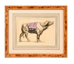 Buffle-macedonien-Salonique-1917