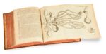 Opera-Omnia-seu-thesaurus-locupletissimus-Botanico-8211-Medico-8211-Anatomicus-viginti-quatuor-tractatus-complectens
