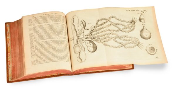 Opera-Omnia-seu-thesaurus-locupletissimus-Botanico-8211-Medico-8211-Anatomicus-viginti-quatuor-tractatus-complectens Opera-Omnia-seu-thesaurus-locupletissimus-Botanico-8211-Medico-8211-Anatomicus-viginti-quatuor-tractatus-complectens