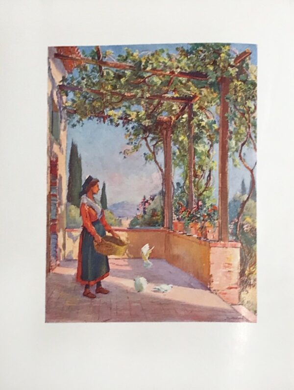 Mireille.-Edition-illustree-par-les-peintures-de-Frederic-Montenard