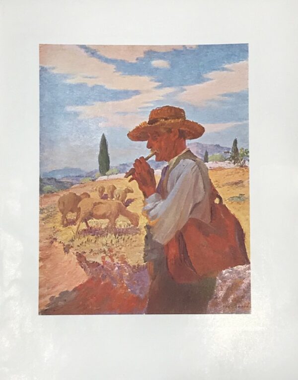 Mireille.-Edition-illustree-par-les-peintures-de-Frederic-Montenard