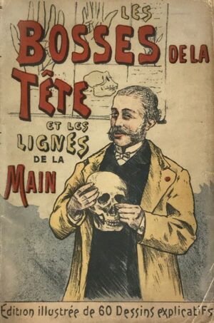 Bosses-Les-de-la-tete-et-les-lignes-de-la-main