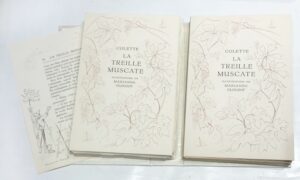 Treille-La-Muscate.-Illustrations-de-Marianne-Clouzot