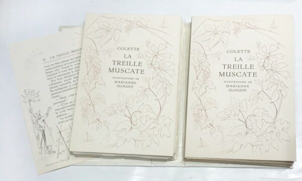 Treille-La-Muscate.-Illustrations-de-Marianne-Clouzot Treille-La-Muscate.-Illustrations-de-Marianne-Clouzot