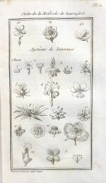 Principes-de-botanique-expliques-au-lycee-republicain