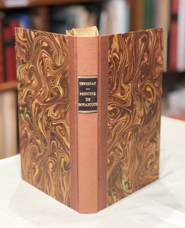 Principes-de-botanique-expliques-au-lycee-republicain