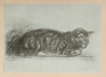 Steinlen.-Chats-et-autres-betes.-Dessins-inedits.-Texte-de-Georges-Lecomte