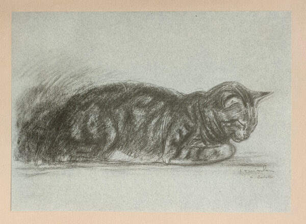 Steinlen.-Chats-et-autres-betes.-Dessins-inedits.-Texte-de-Georges-Lecomte