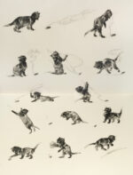 Steinlen.-Chats-et-autres-betes.-Dessins-inedits.-Texte-de-Georges-Lecomte