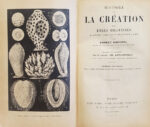 Histoire-de-la-creation-des-etres-organises-drsquoapres-les-lois-naturelles.-Traduit-de-lrsquoallemand-par-le-docteur-Ch.-Letournau-et-revu-sur-la-7e-edition-allemande